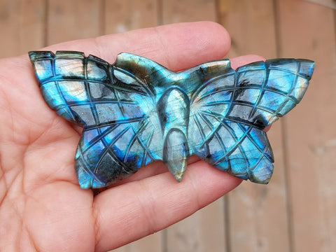 Butterfly Carving Medium